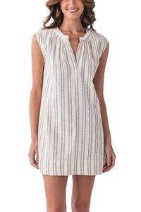 Z Supply Minna Stripe Mini Dress