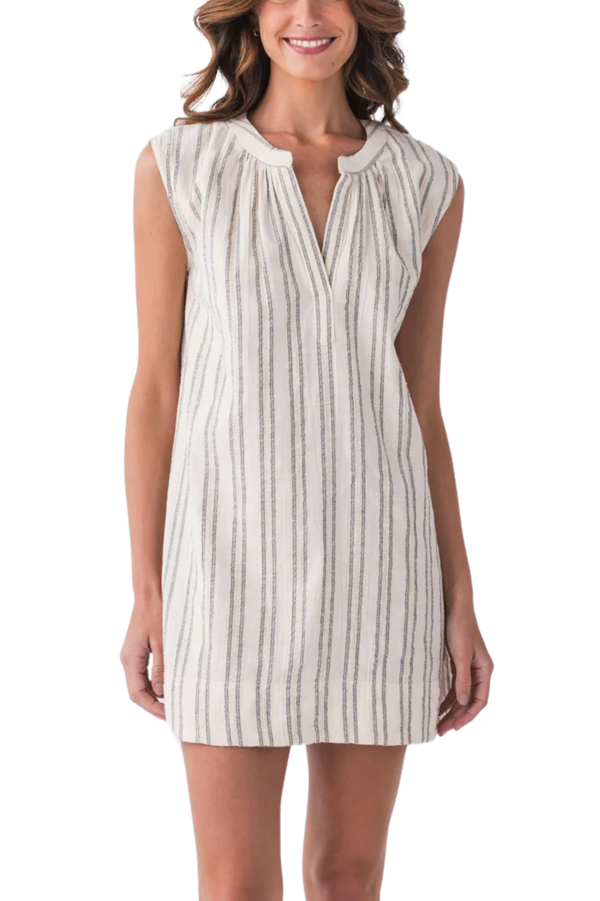 Z Supply Minna Stripe Mini Dress
