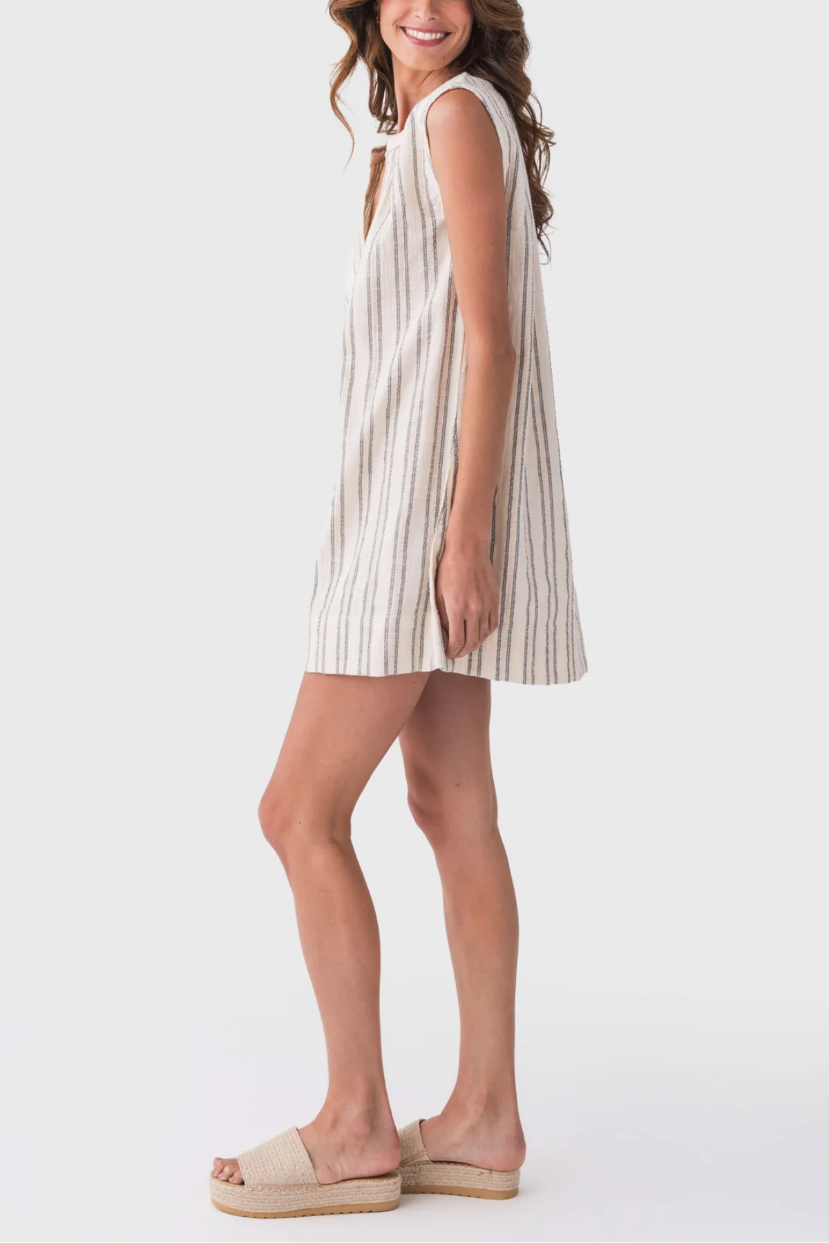 Z Supply Minna Stripe Mini Dress