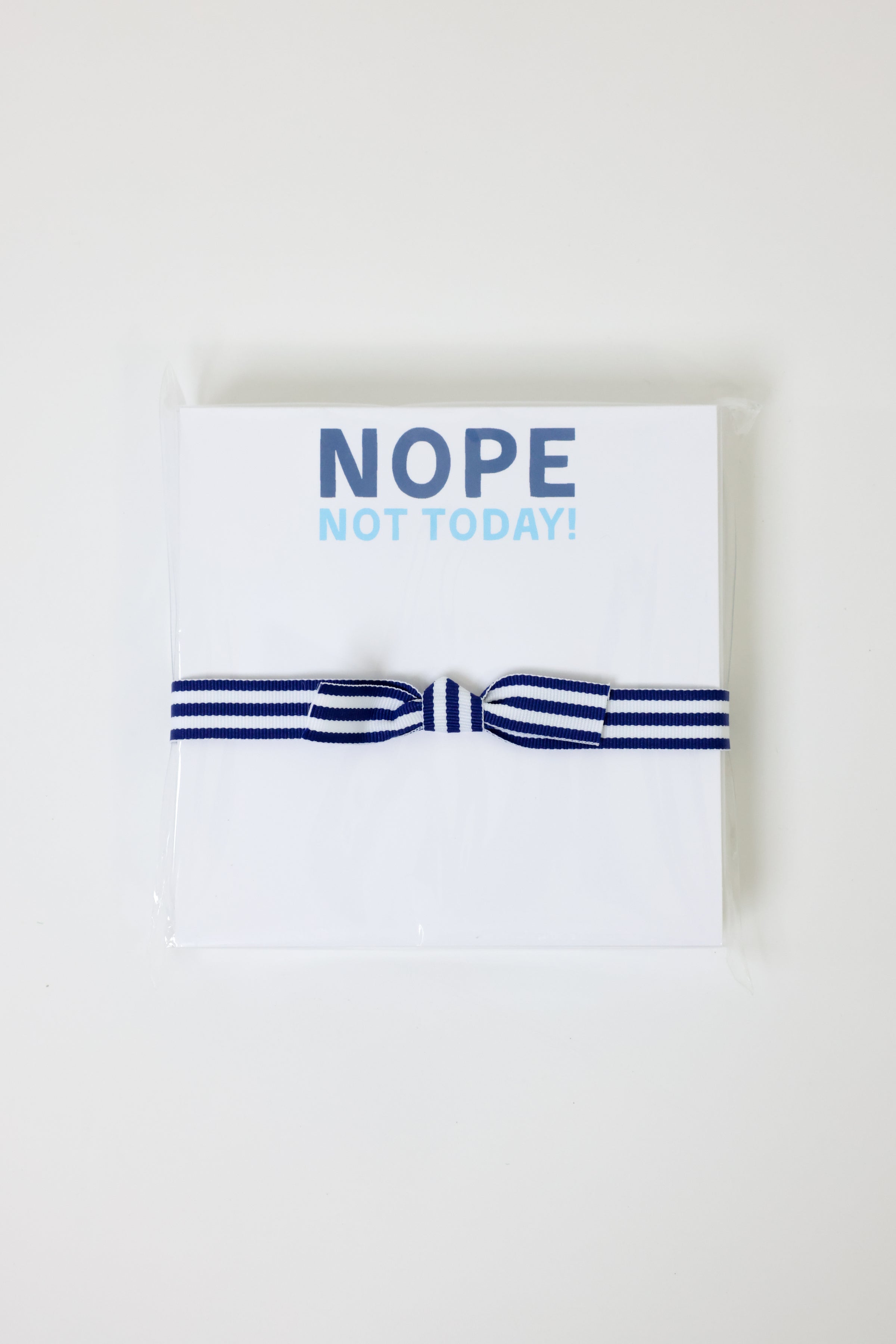 Nope Not Today Chubbie Notepad