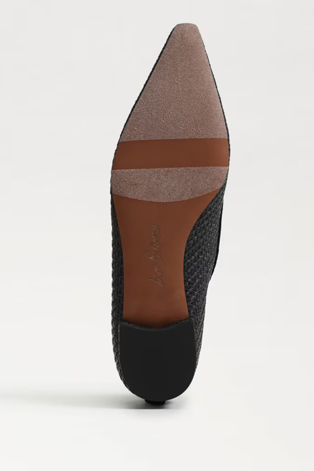 Sam Edelman Esmira Pointed Toe Ballet Flat