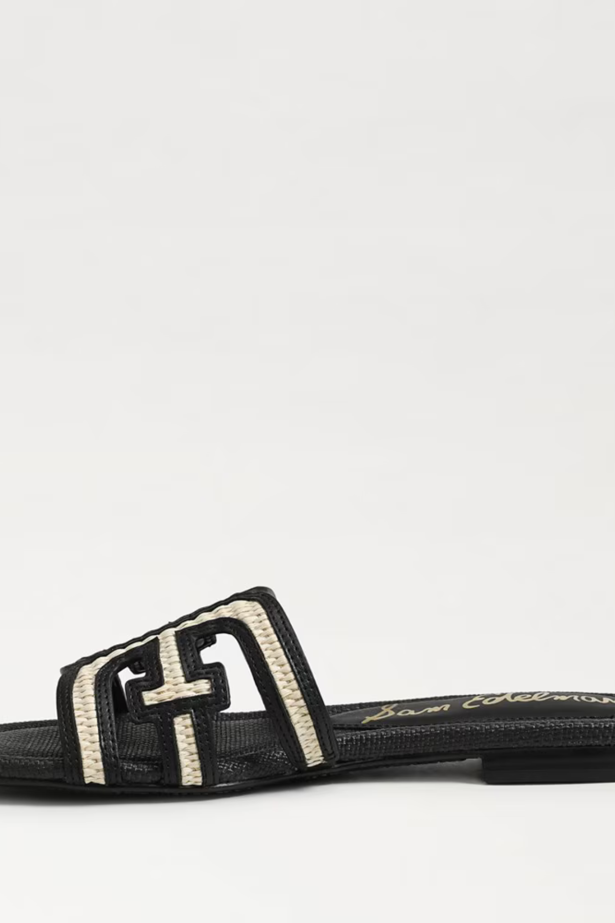 Sam Edelman Bay Multicolor Slide Sandal