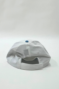 Birdies Hat