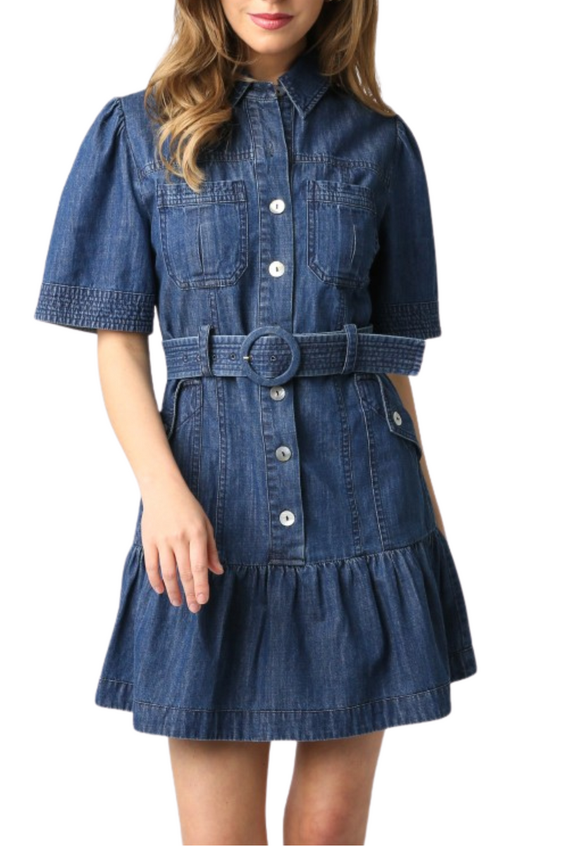 Cathy Denim Dress