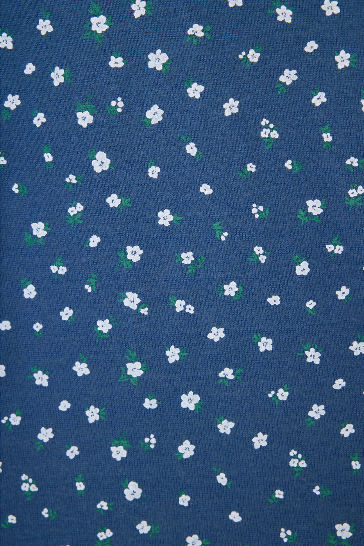 PJ Salvage Cozy Life Ditsy Floral Shorts