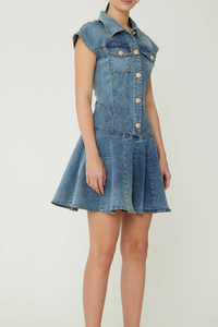 JS71 Tina Mini Dress