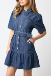 Cathy Denim Dress