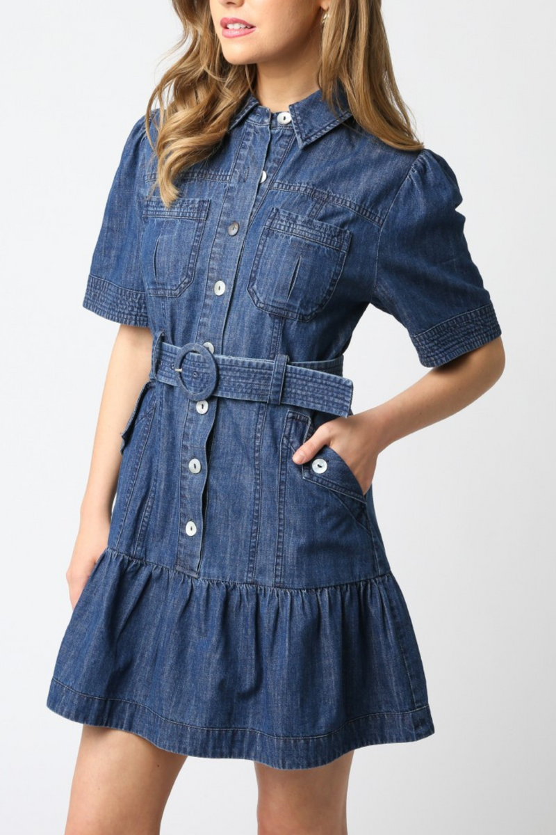 Cathy Denim Dress
