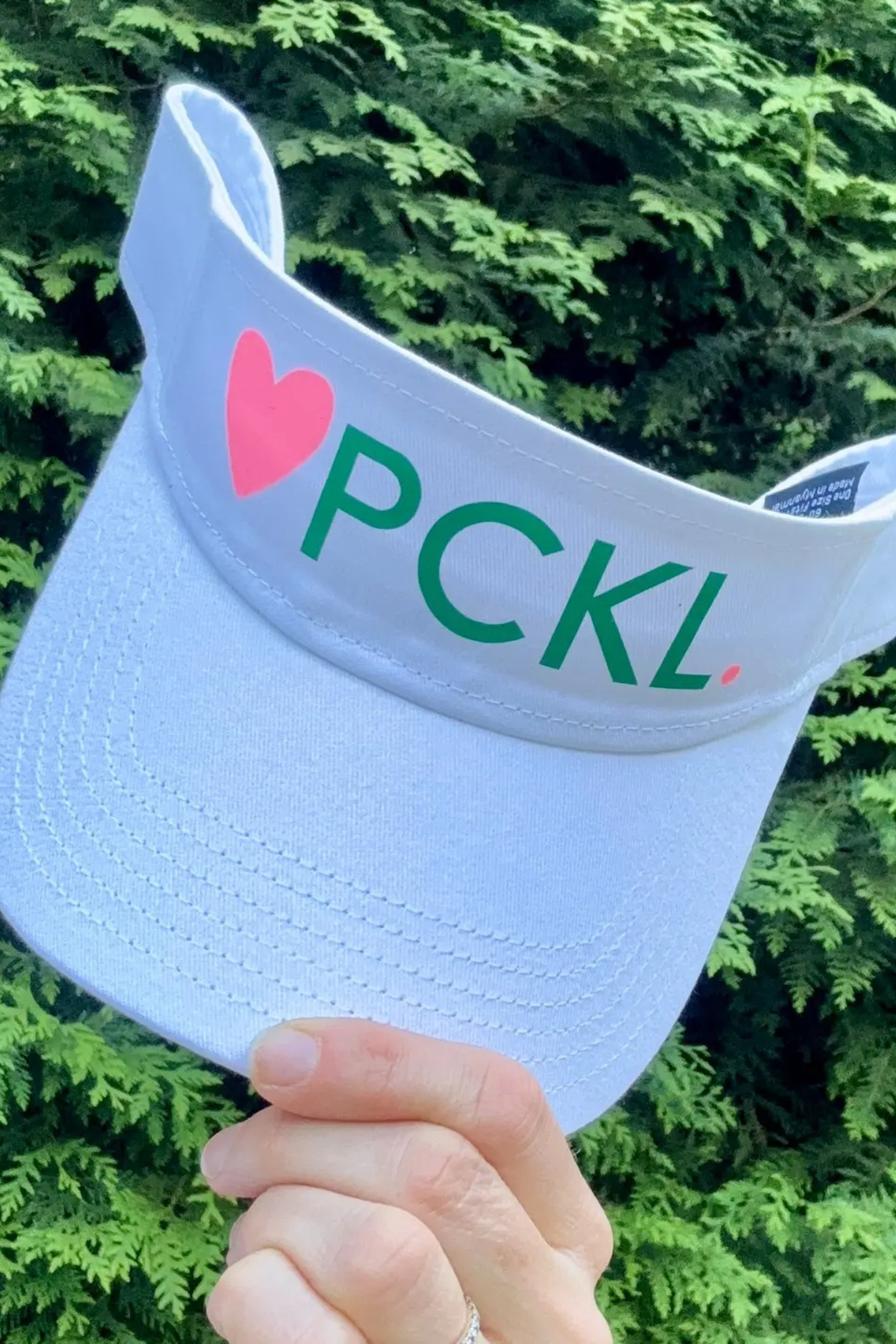 Pickle Visor