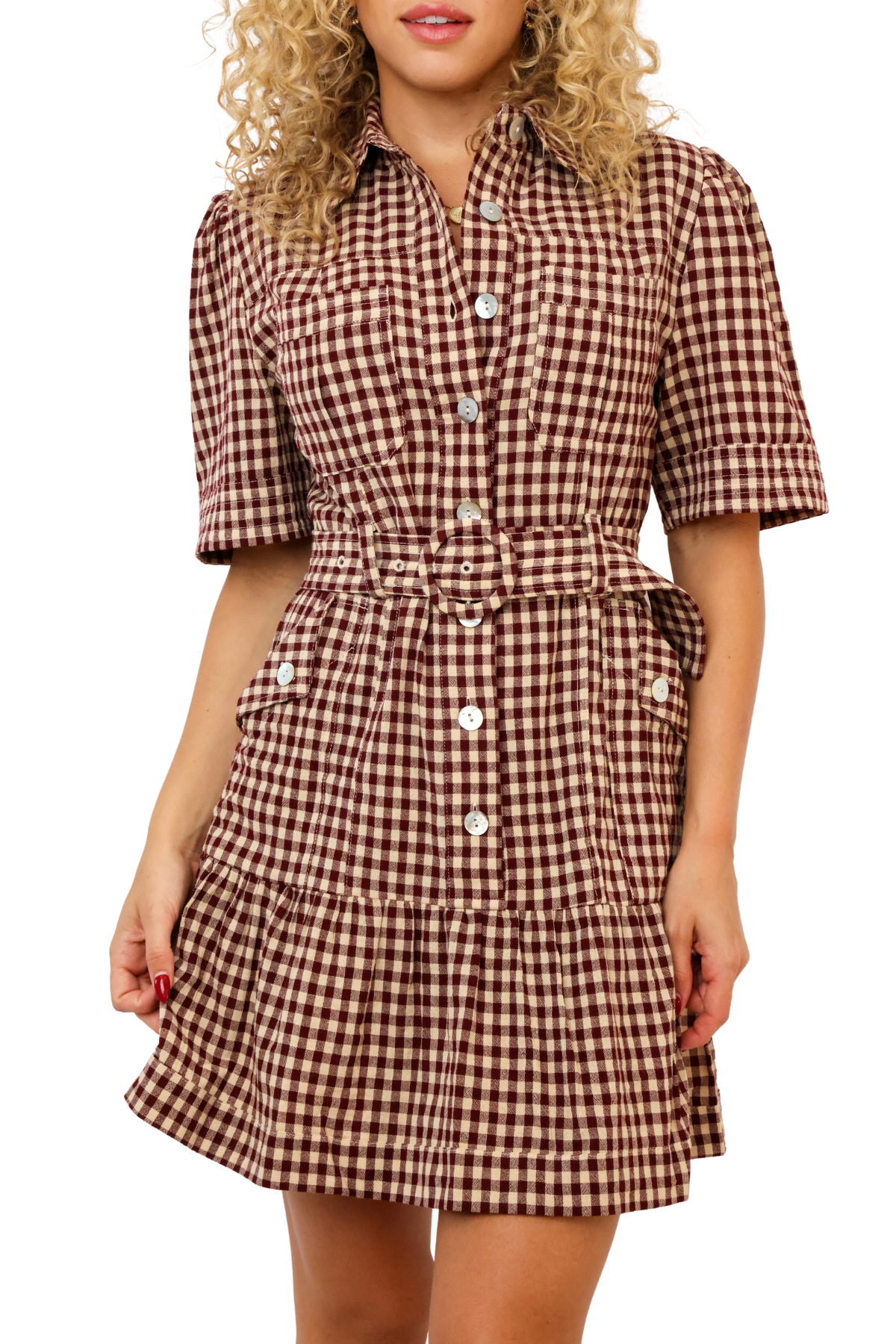 Erika Checkered Belted Dress