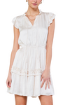Ruffle Mini Dress