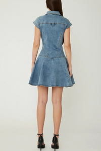 JS71 Tina Mini Dress