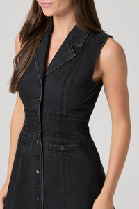 Paige Vida Dress