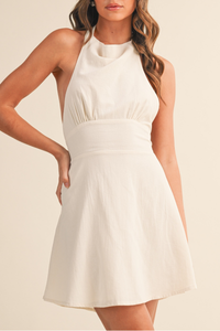 Cowl Neck Drop Waist Mini Dress