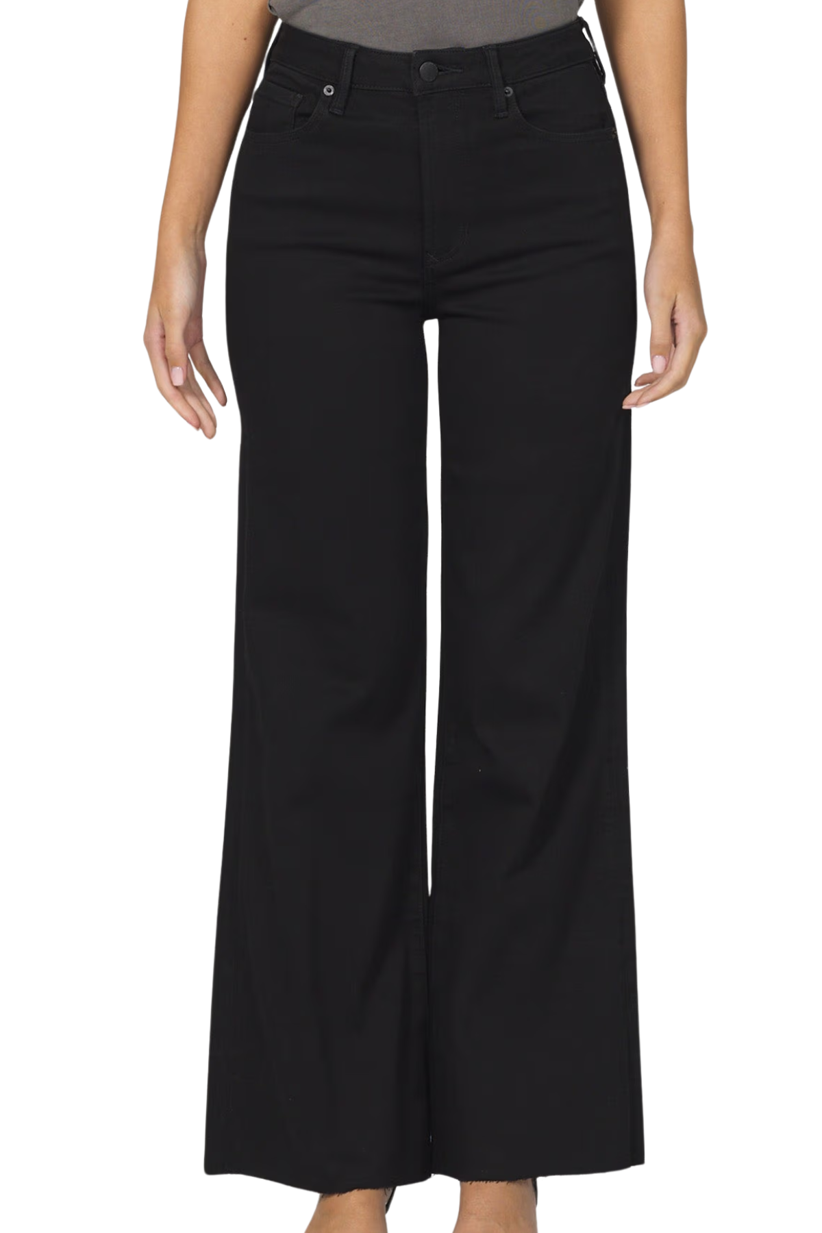 Dear John Fiona Wide Leg Pants