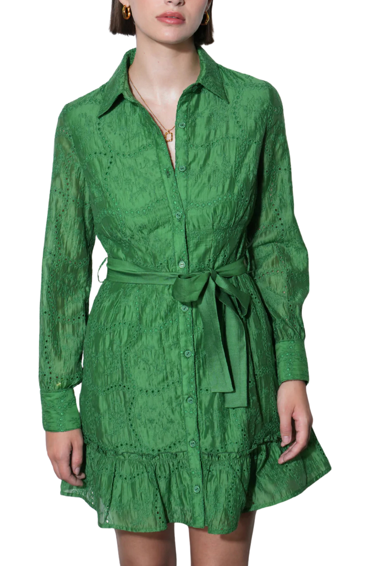 Tabitha Embroidered Mini Dress