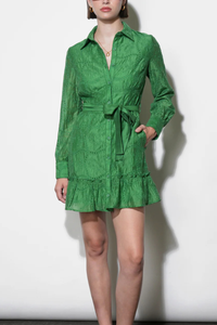 Tabitha Embroidered Mini Dress