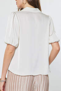 Collared V-Neck Blouse
