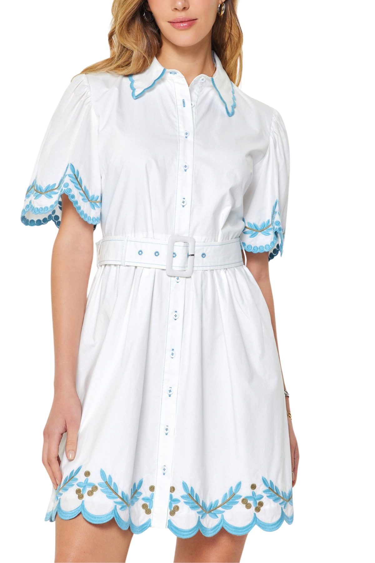 Embroidered Button Down Mini Dress