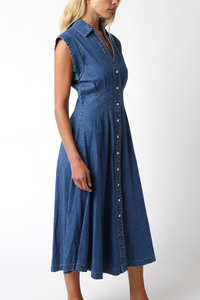 Blair Denim Dress