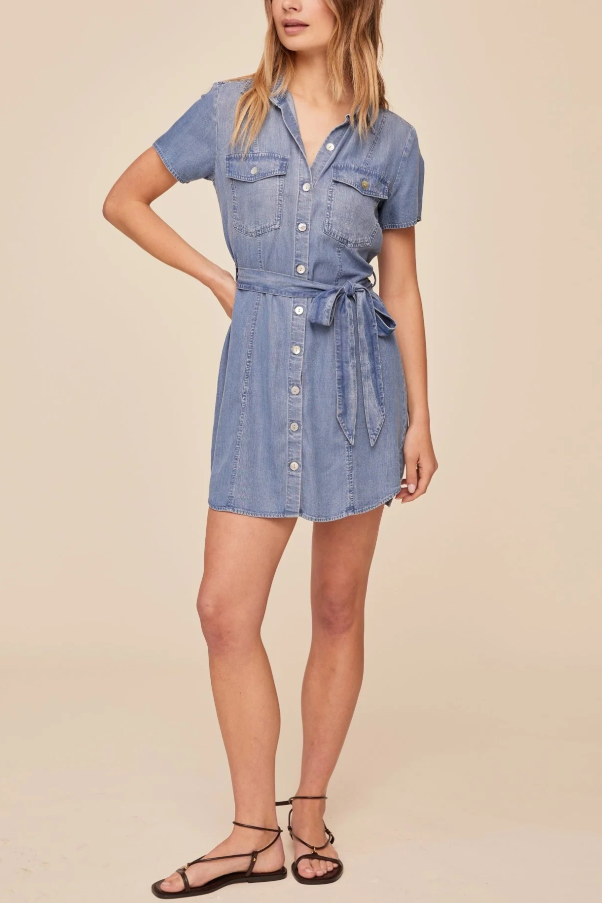 Bella Dahl Short Sleeve Seamed Shirt Dress