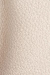 Hammitt Evan Crossbody Small