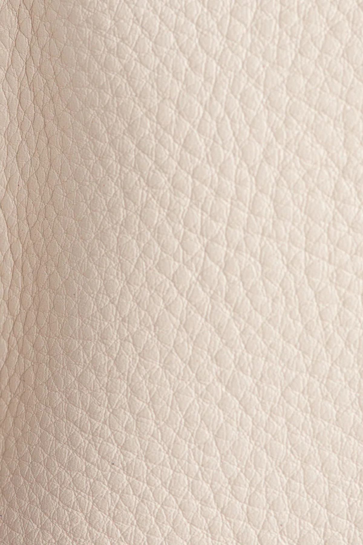 Hammitt Evan Crossbody Small