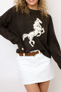 Horse Sweater