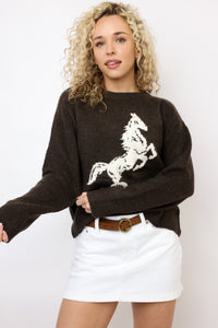 Horse Sweater
