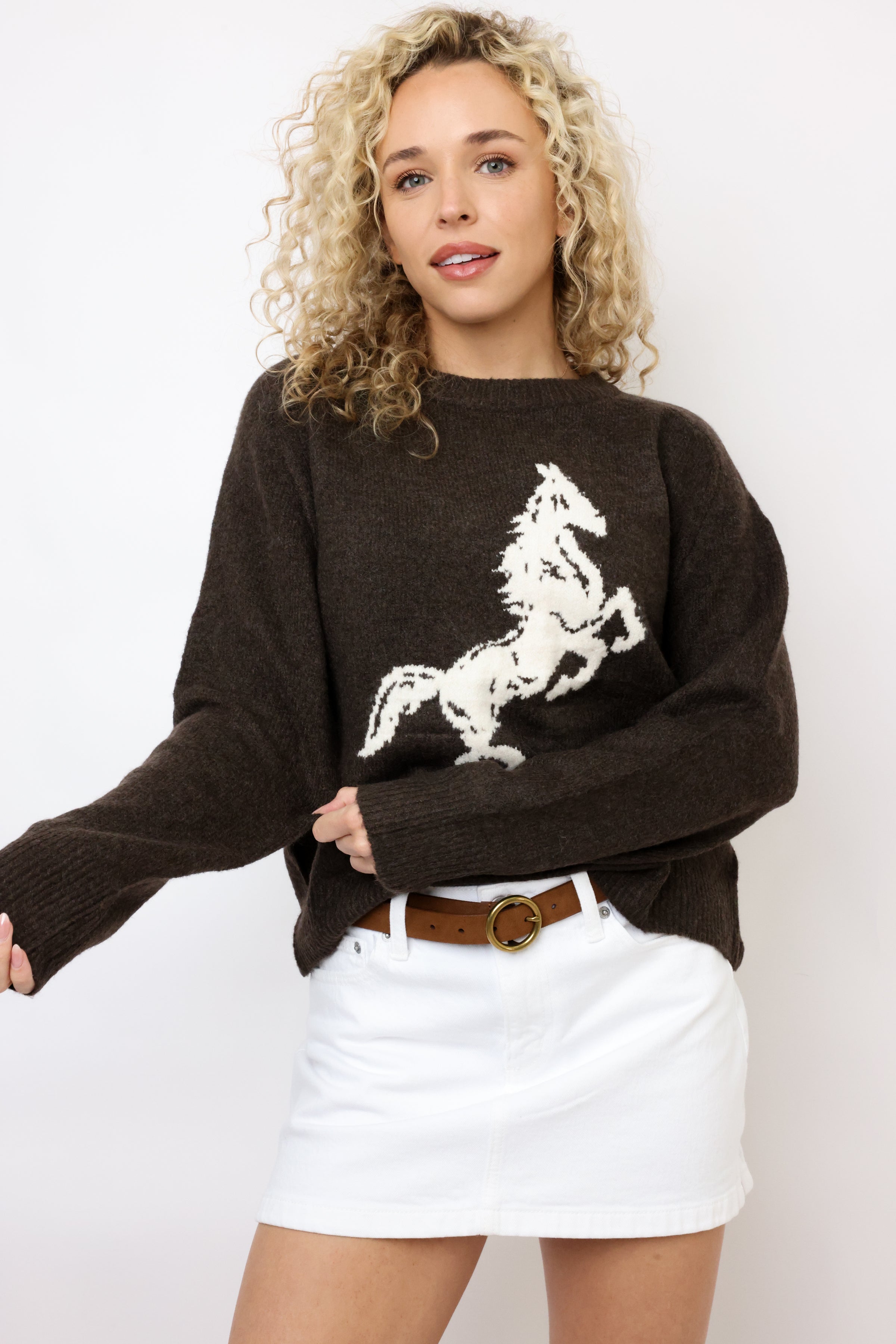 Horse Sweater