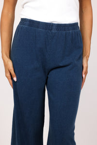 Z Supply Scout Jersey Denim Pant