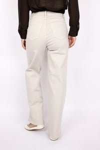 Level 99 Hudson Crop Wide Leg
