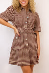 Erika Checkered Belted Dress