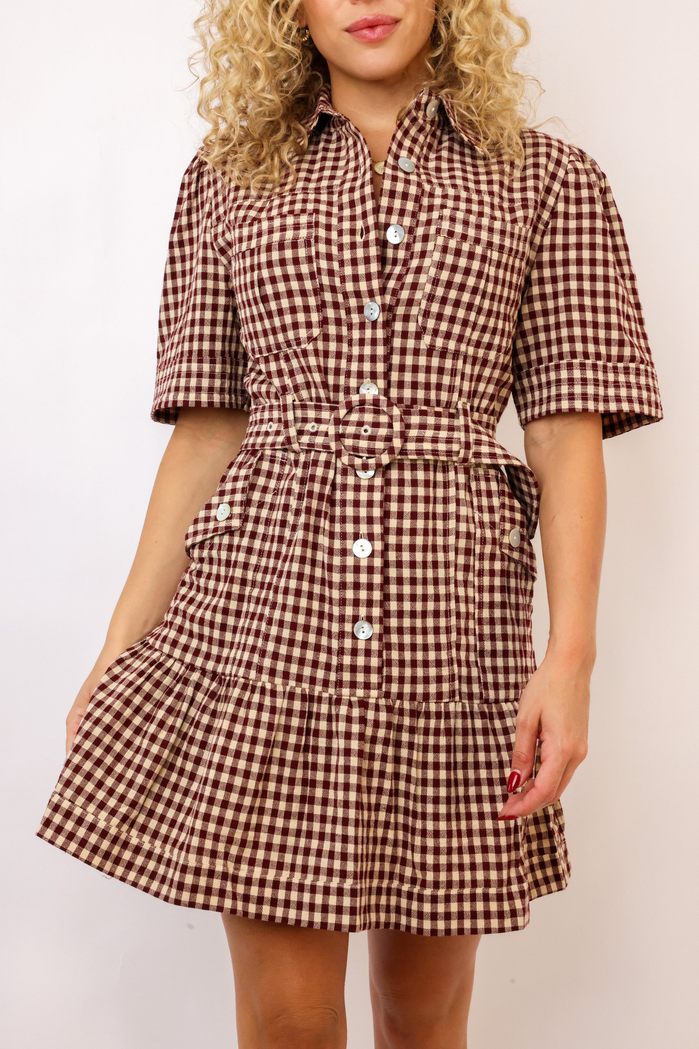 Erika Checkered Belted Dress