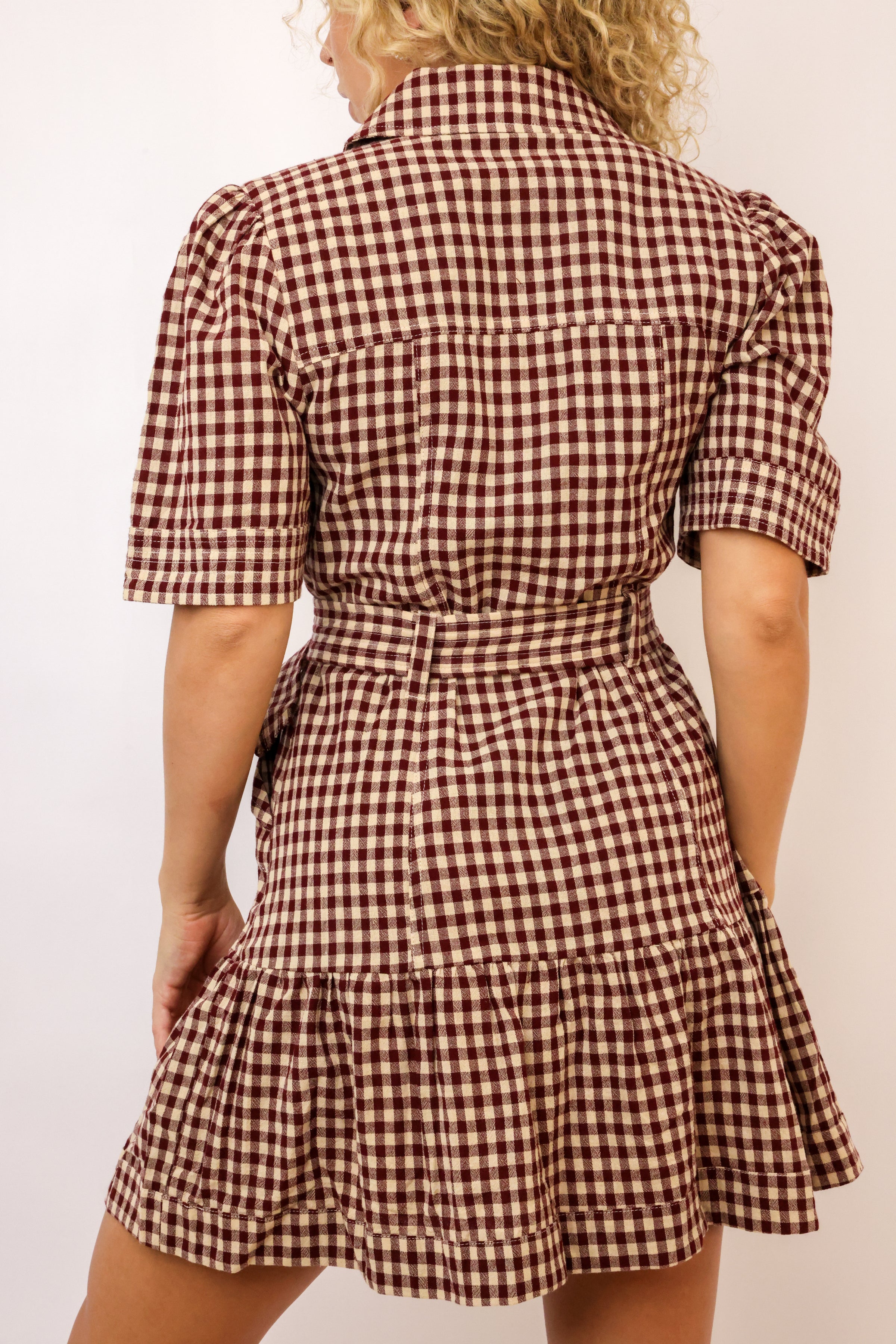Erika Checkered Belted Dress