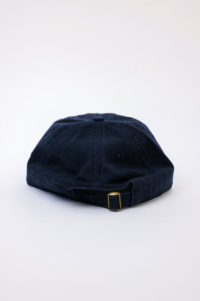 Upside Down Arizona Hat