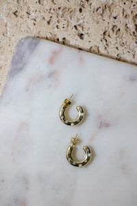 PG Designs Chunky Hoop Earrings